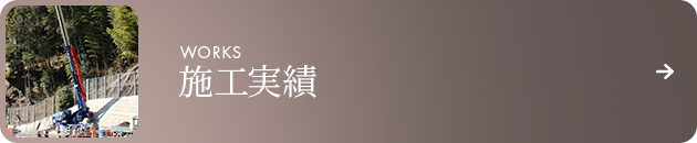 bnrhalf_works