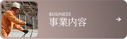 bnrmany_business
